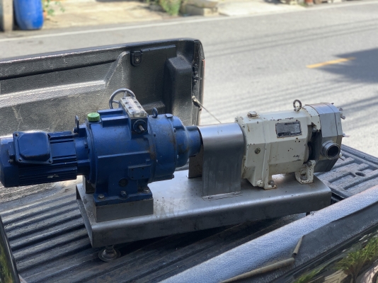 ขายหัวปั๊มดูดของเหนียวหัวสแตนเลส Hanatsuka Stainless Pump ขนาด 2นิ้ว made in Japan พร้อมแท่นชุดมอเตอร์เกียร์ Sumitomo 2HP. 380V ปรับรอบได้ในตัว ตัวใหญ่ แท่นสแตนเลสทั้งตัว ใช้ในงานผลิตอาหาร ดูดของเหนียว ของหนืด ดูดสารเคมีต่างๆ สภาพสวย หมุนนิ่ม พร้อมใช้งาน