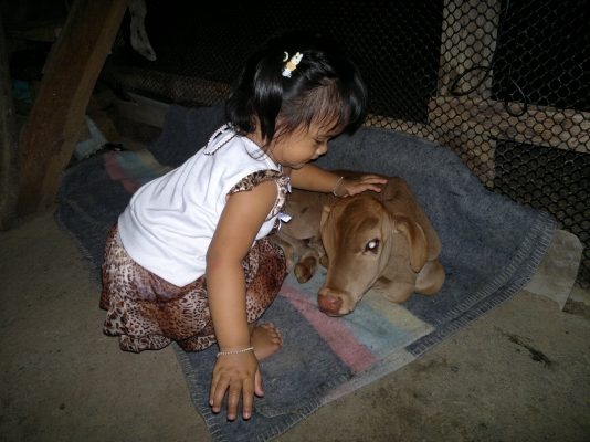 f18. สภาพพร้อมใช้      กำลังทำสีหัวใหม่