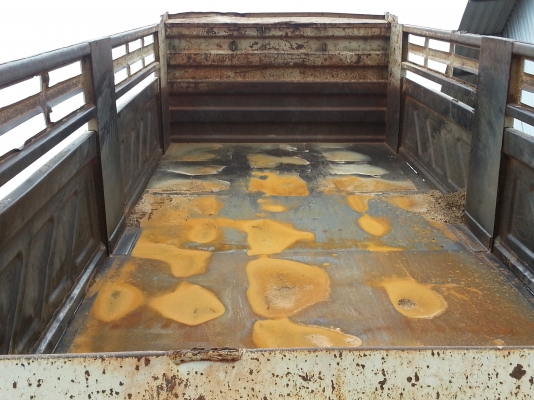 ฟูโซ่ สว่างแดนดิน