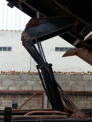 ฟูโซ่ สว่างแดนดิน