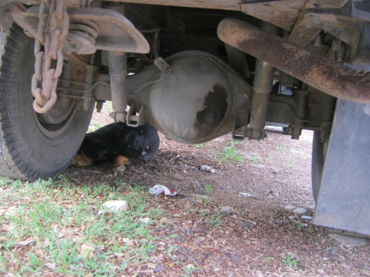 ขาย6ล้อ NKR 110 เเรงม้าพร้อมใช้งาน ขาย6ล้อ NKR 110 เเรงม้าพร้อมใช้งาน