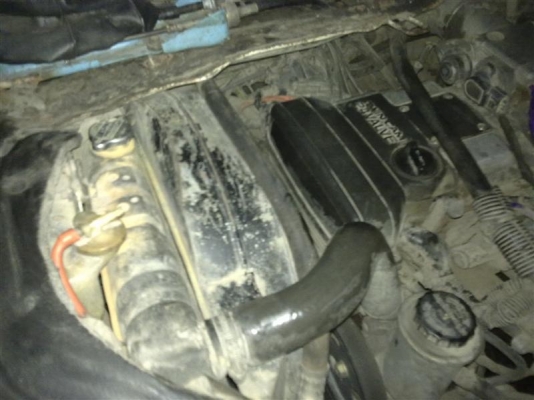 ขายโตต้าตาหวาน