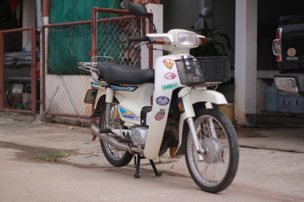 ดรีมคุรุสภา