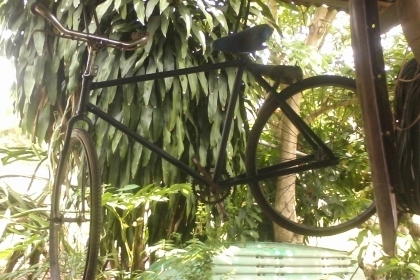 จักรยานโบราณอังกฤษ สภาพสียังดีครับเป็นของอังกฤษแท้ครับใส่โซ่เติมลมยางใช้ได้เลยครับเหล็กดีมากครับสวยๆครับ