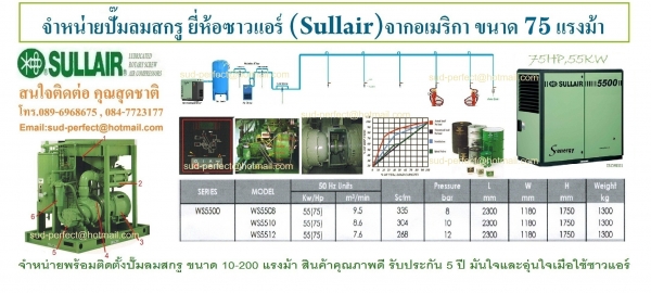 ปั๊มลมสกรู 7.5-500 แรงม้า 5.5-400 กิโลวัตต์ 7-13 บาร์ 630-75,050 ลิตร/นาที 22.2-2,473.8 ลูกบาศก์ฟุต/นาที