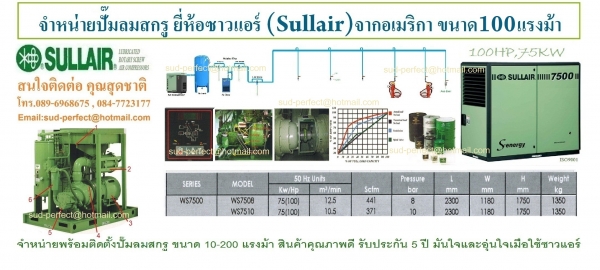 ปั๊มลมสกรู 7.5-500 แรงม้า 5.5-400 กิโลวัตต์ 7-13 บาร์ 630-75,050 ลิตร/นาที 22.2-2,473.8 ลูกบาศก์ฟุต/นาที