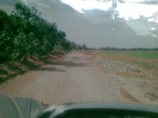 ขายที่ดินใน อ.ดอนตูม เลยจากนครชัยศรี จำนวน 27 ไร่ แถมฟรีอีก 4 ไร่ ในเขตพื้นที่ 5