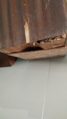 ลำโพงโบราณ