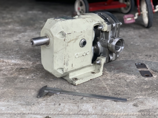 ขายหัวปั๊มดูดของเหนียวหัวสแตนเลส 316L OMAC  Nuova pompe Pump made in Italy ขนาด 1.5นิ้ว ใช้ในงานผลิตอาหาร ดูดของเหนียว ของหนืด ดูดสารเคมีต่างๆ สภาพสวย หมุนนิ่ม พร้อมใช้งาน ราคา 7,800 บาท