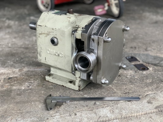 ขายหัวปั๊มดูดของเหนียวหัวสแตนเลส 316L OMAC  Nuova pompe Pump made in Italy ขนาด 1.5นิ้ว ใช้ในงานผลิตอาหาร ดูดของเหนียว ของหนืด ดูดสารเคมีต่างๆ สภาพสวย หมุนนิ่ม พร้อมใช้งาน ราคา 7,800 บาท