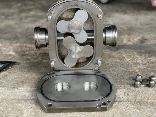 ขายหัวปั๊มดูดของเหนียวหัวสแตนเลส 316L OMAC  Nuova pompe Pump made in Italy ขนาด 1.5นิ้ว ใช้ในงานผลิตอาหาร ดูดของเหนียว ของหนืด ดูดสารเคมีต่างๆ สภาพสวย หมุนนิ่ม พร้อมใช้งาน ราคา 7,800 บาท