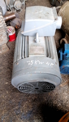 มอเตอร์ไฟฟ้า 100 แรง