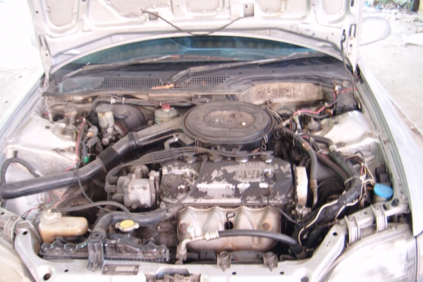 ขาย civic 92 สภาพพร้อมใช้ ทะเบียนพร้อมโอน ภาษีเต็ม ขาย civic 92 สภาพพร้อมใช้ ทะเบียนพร้อมโอน ภาษีเต็ม