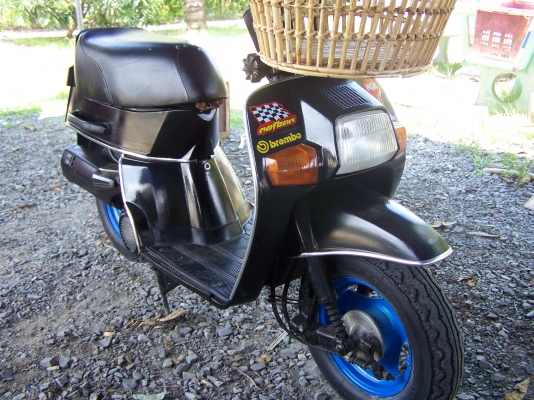 ขาย มินิคลาสสิก