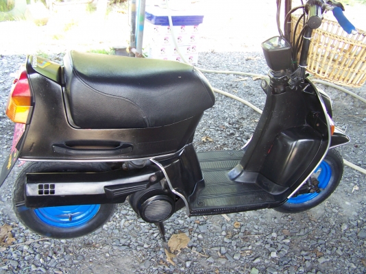 ขาย มินิคลาสสิก