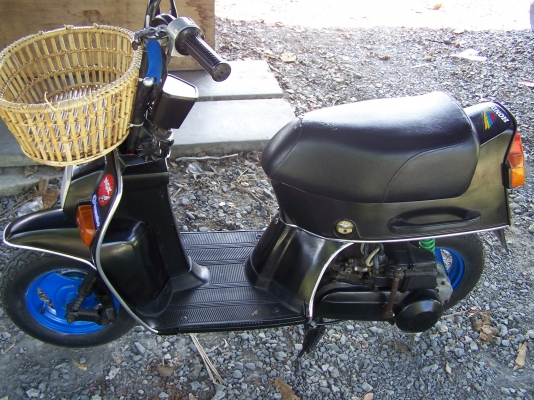 ขาย มินิคลาสสิก