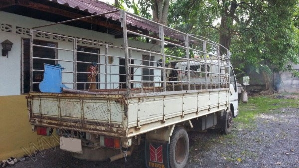 รถบรรทุก 6 ล้อ ยี่ห้อ ISUZU รุ่น NKR