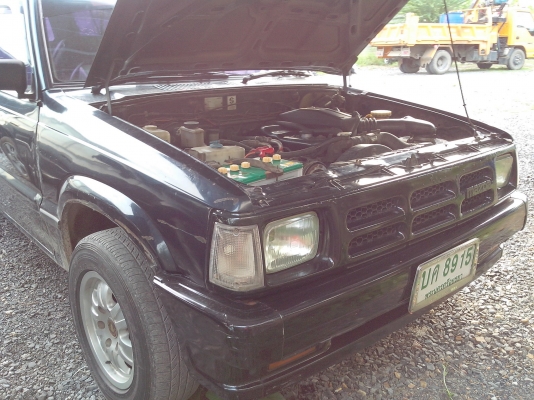 ขายมังกรดำปี95 ขายมังกรดำปี95