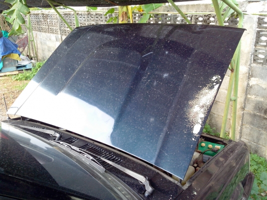 ขายมังกรดำปี95 ขายมังกรดำปี95