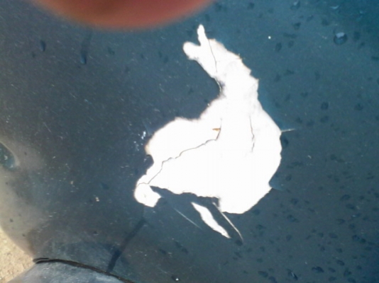 TOYOTA, HILUX MIGHTY-X 2.5GL X-TRA CAB ปี 1995 รถพร้อมใช้ถูกๆ