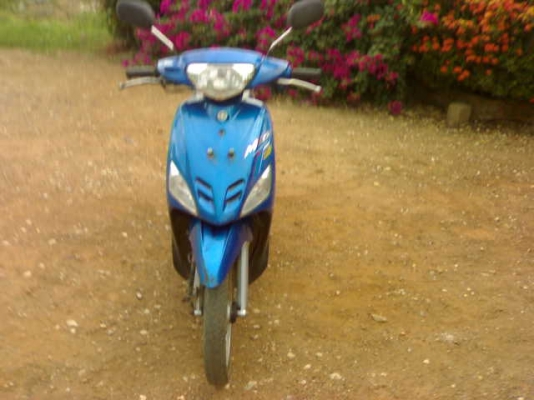 มีโอปี48ราคาเบาๆ