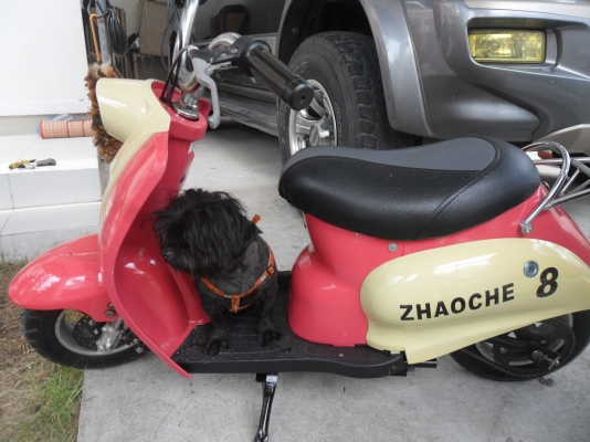 รถไฟฟ้าเล็ก24Vสำหรับเด็กผู้หญิง รับน้ำหนักได้70kg ช๊าตไฟบ้าน