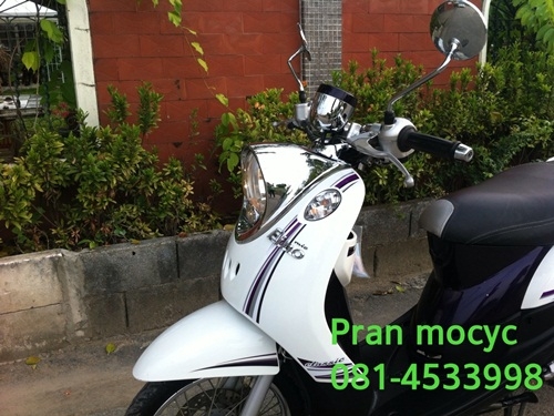 ขายfinoสีขาวม่วง คลาสสิคปี2555 ขายfinoสีขาวม่วง คลาสสิคปี2555