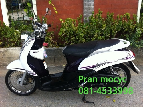 ขายfinoสีขาวม่วง คลาสสิคปี2555