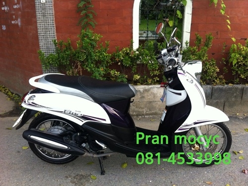 ขายfinoสีขาวม่วง คลาสสิคปี2555 ขายfinoสีขาวม่วง คลาสสิคปี2555