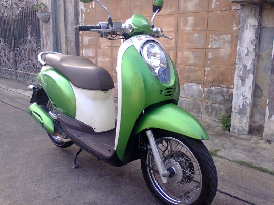 Honda scoopy