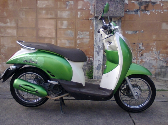 Honda scoopy