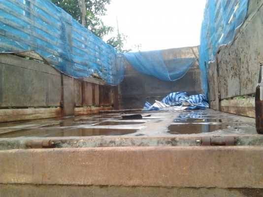 ขาย 10ล้อ2เพลาดั๊ม ISUZU ROCKY240โบ แม่2เพลาดั๊มFXZ23NFY หัวขาว วางเครื่อง6SD1 โบนอก 240 แห้งๆแรงจัด ไม่มีเยิ้ม เกียร์อีตั้น ช่วงล่างแน่น คัสซีใหญ่สวย ไม่ผุไม่บวมไม่ดาม กระบะดั๊มข้างเนียมสภาพดี หัวบางดี ภายในดี กระจังหน้ามีให้ ยางดี10เส้น พร