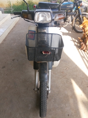ขาย honda drem 100 ครับ ขาย honda drem 100 ครับ