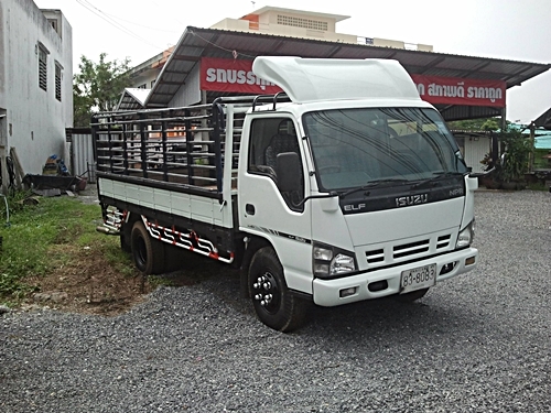 ขาย ISUZU-NPR 130 tubo โฉม EURO2 สีขาว กระบะคาโก้พร้อมคอกเหล็ก รถปี 50 ขาย ISUZU-NPR 130 tubo โฉม EURO2 สีขาว กระบะคาโก้พร้อมคอกเหล็ก รถปี 50