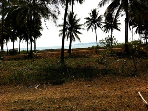 ขายด่วน! ที่ดินใกล้ทะเล ตรงข้ามเกาะทะลุ (หาดส่วนตัว โครงการหาดในฝัน)