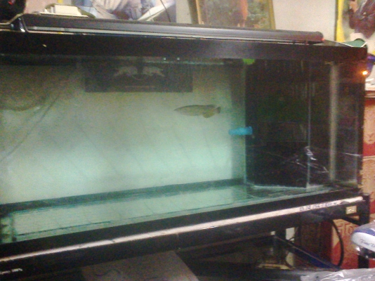 ตู้ปลา 48 นิ้ว 2 ใบ