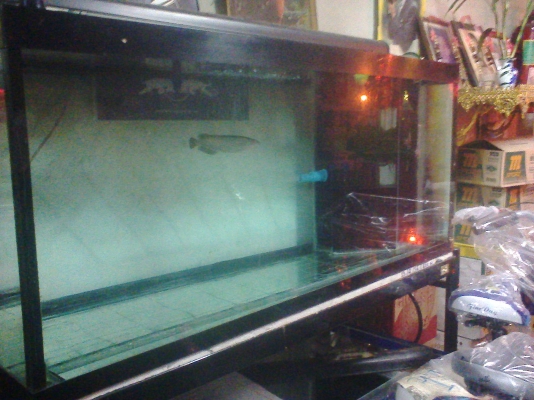 ตู้ปลา 48 นิ้ว 2 ใบ