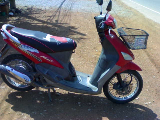 มีโอปี47 ภาษีเต็ม