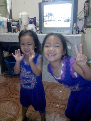 ขายตอไม้ ประดับ