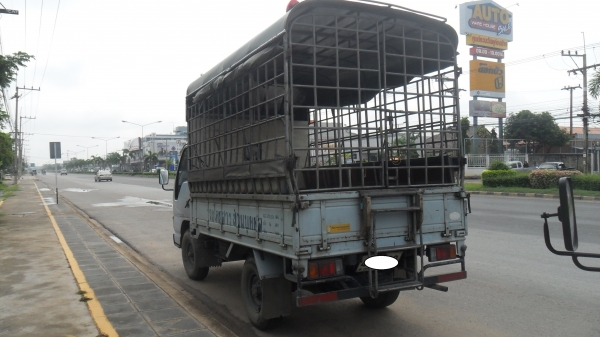 บรรทุก  4 ล้อ  อีซูซุ  เกียร์สั้น  หัวการ์ตูน