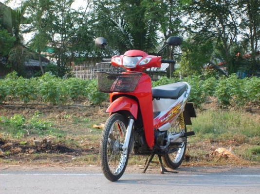 Honda wave 125 ปี 49 (red gray)