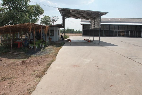 ขายที่ดิน 8 ไร่ ติดถนนใหญ่ พร้อมสิ่งปลูกสร้าง ห่าง อ.เมือง จ.ร้อยเอ็ด 10 กม.