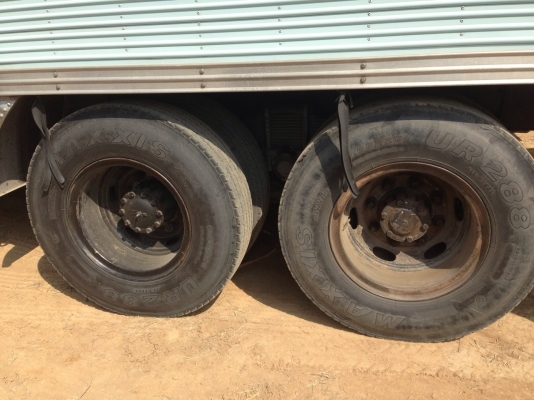 10ล้อเพลาเดียว 195 นางฟ้าแท้