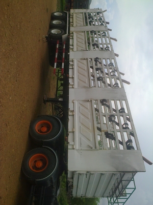 ขายหัวลากไอ้หลงยูโร 1 แม่ลูก