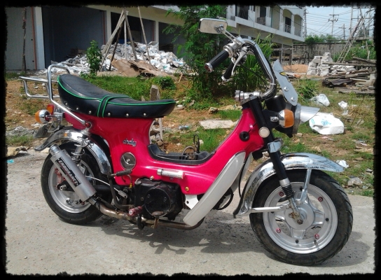 @ ขายแล้วครับผม พี่ที่ระยอง วางมัดจำแล้วครับ @ มีคลิป VDO @ ขายแล้วครับผม พี่ที่ระยอง วางมัดจำแล้วครับ @ มีคลิป VDO