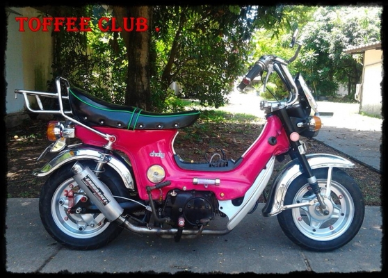 @ ขายแล้วครับผม พี่ที่ระยอง วางมัดจำแล้วครับ @ มีคลิป VDO @ ขายแล้วครับผม พี่ที่ระยอง วางมัดจำแล้วครับ @ มีคลิป VDO