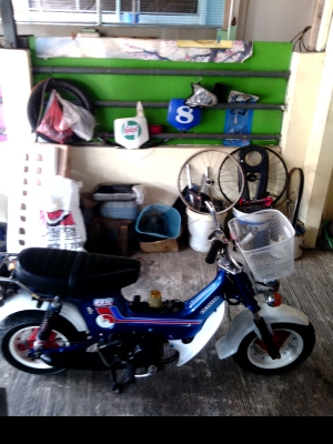 ขาย HONDA ชาลี เครื่องไน110 เครื่องมีทะเบียนคุม