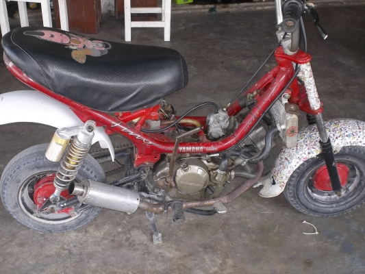 ขอขายชิปปี้เครืองโซนิกสักคันในราคา8500บาท