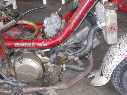 ขอขายชิปปี้เครืองโซนิกสักคันในราคา8500บาท