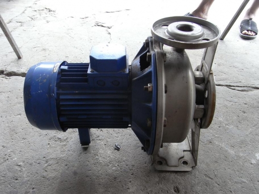 ขายปั้มน้ำหอยโข่ง 3 HP. 380 Vของยุโรปแต่ไม่มีเนมเพจ หัวปั้มสแตนเลส สภาพสวย พร้อมใช้งาน